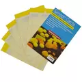 BASF Sensor Yellow Sticky Cards 3"x5" 50/PK (15/Cs)