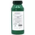 Regalia CG 1Qt OMRI ( Reynoutria sachalinensis ) Biofungicide (Regalia PTO)