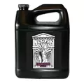 Nectar for the Gods Gallon Persephones Palate