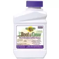 Bonide Pt Root N' Grow Root Stimulator 4-10-3