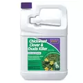 Bonide 1gal RTU Chickweed Clover & Oxalis Killer