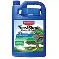 BioAdvanced 1gal 12 Month Tree & Shrub Protect & Feed (Keywords: Bayer )