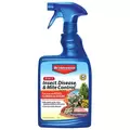 BioAdvanced 24oz 3-In-1 Insect Disease & Mite Control RTU (Keywords: Bayer )