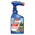 BioAdvanced 32oz 3-In-1 Insect Disease & Mite Control RTS (Keywords: Bayer )