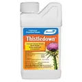 Monterey .5pt Thistledown