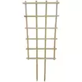A&G 22"x40" Espalier