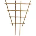 A&G 3'x4' Fan Espalier Trellis