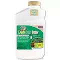 Captain Jacks Qt Lawnweed Brew Concentrate