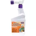 Bonide Pt Copper Fungicide RTS