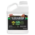 Martin's 1gal 2,4-D Amine Herbicide
