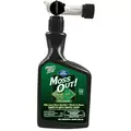Lilly Miller 32oz Moss Out for Lawn RTS