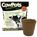 Summit Cow Pot