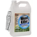 Avenger 1gal RTU Weed Killer