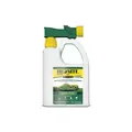 Ironite Plus 32oz Liquid Lawn & Garden 7-0-1 RTS