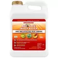 Organocide 2.5 Gallon Bee Safe Insect Killer Concentrate