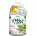 Harris 128oz Sea Salt Weed & Grass Killer