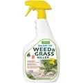 Harris 32oz Sea Salt Weed & Grass Killer