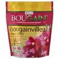 BGI 2