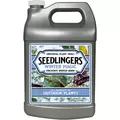 Seedlingers 1gal Winter Magic Liquid Concentrate