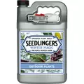 Seedlingers 1gal Winter Magic Ready to Use