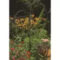 Panacea 84" Black Double Offset Hook