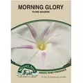 MORN GLORY-FLYING SAUC. 1.5 GM