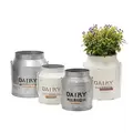 Deer Park 2pc Set Dairy Jug Cream & Galvanized