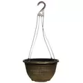Grower Select 12.00 Boxwood Hanging Basket Mahogany with Hanger 50/CS
