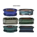 MCarr 6PC 10" Bonsai Planter Mixed Asst