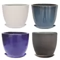MCarr 54pc Egg Planter w/ Saucer Pallet Mix Colors