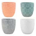 MCarr 16PC 5" Small Floral Planter Set Mixed