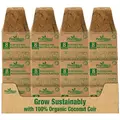 PlantBest 3.00" Biodegradable Square CocoCoir Pot - 8 Pk