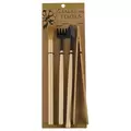 SSI 4pc Terrarium Tool Kit 12/CS