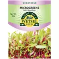 Microgreens, Bull'S Blood Beet - 2 Gram