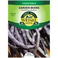 Beans, Royal Burgundy Bush - 10 Gram