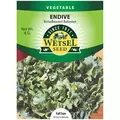 Endive, Broad Leaf Batavian 4g