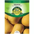 Squash, Early Butternut Hybrid - 1 Gram