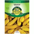 SQUASH, STRAIGHTNECK 3.5 G