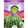 Watermelon, Cal Sweet Bush (Patio) 10 Seeds