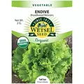 Organic Batavian Endive - 2 Gram