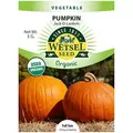 Organic Jack O Lantern Pumpkin - 3 Gram