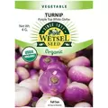 ORGANIC PURPLE TOP TURNIPS 4G