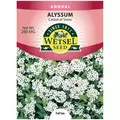 ALYSSUM, CARPET OF SNOW 280 MG
