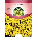 ALYSSUM, SAXATILE YELLO 280 MG