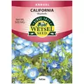 CALIFORNIA BLUEBELLS - 500 MG