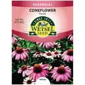 CONEFLOWER, PURPLE 470 MG