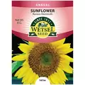 SUNFLOWER, RUSSIAN MAMM 4 G.