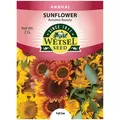 Sunflower, Autumn Beauty - 2 Gram