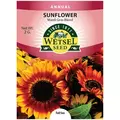 SUNFLOWER, MARDI GRAS BLEND