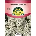 WESTERN YARROW - 500 MG